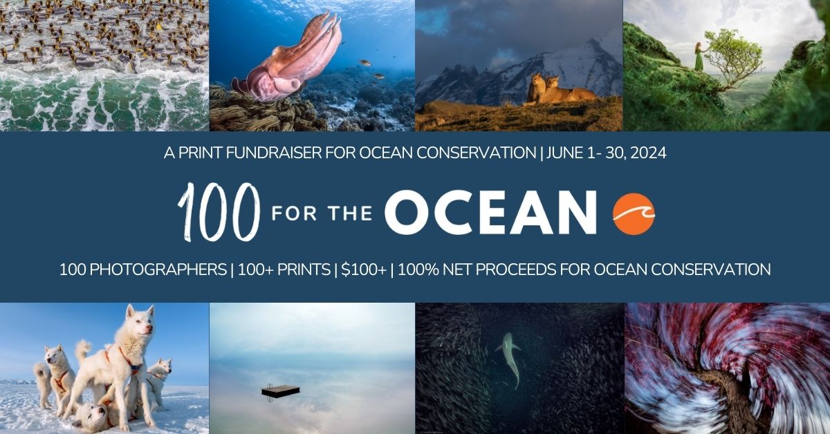 100 for the Ocean in the Press